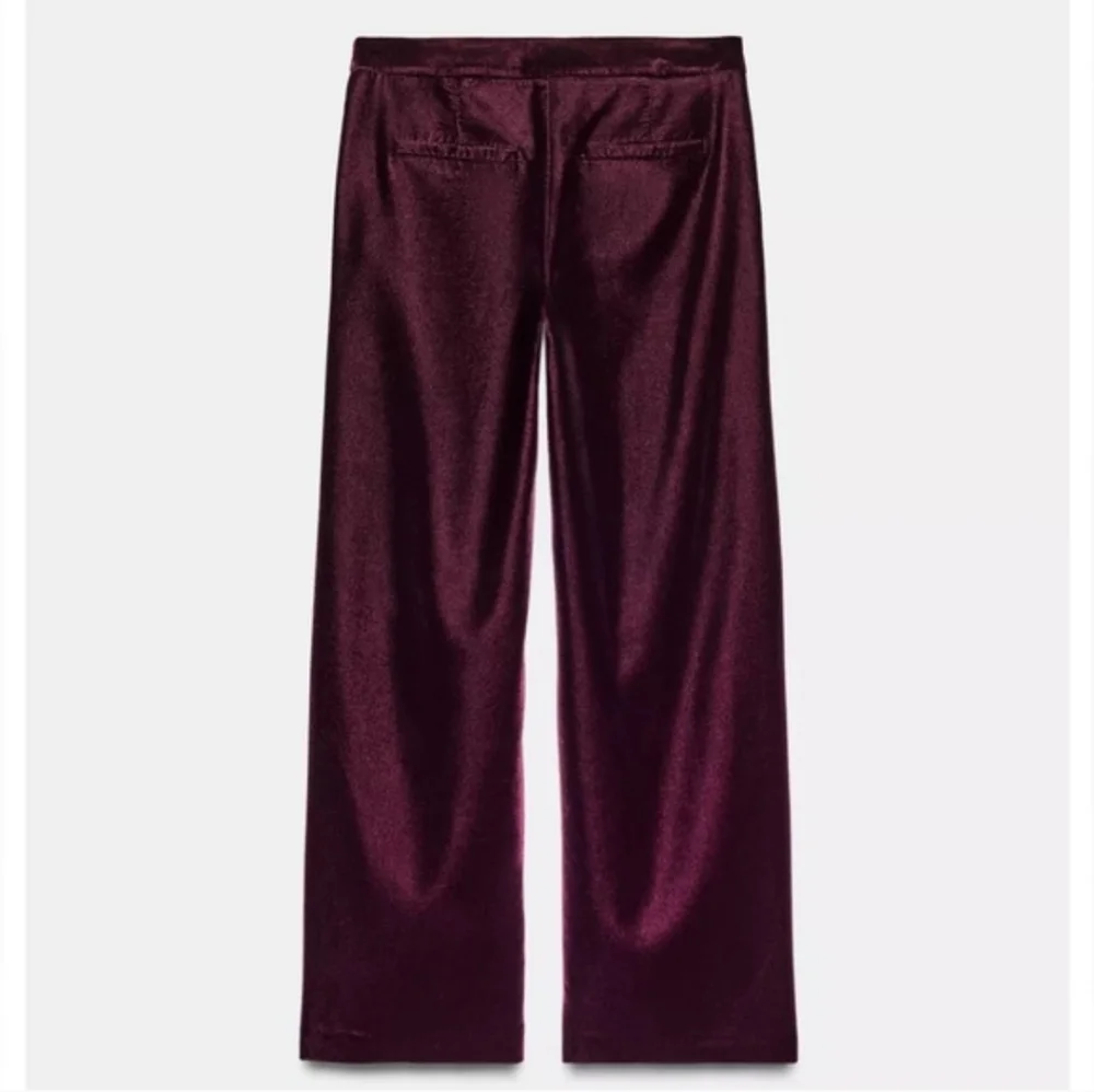 Zara Maroon Velvet Pants Size S